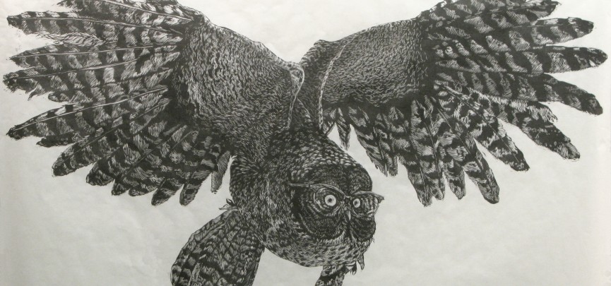 Great Gray