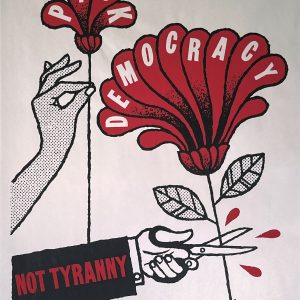Pick Democracy by Mike King